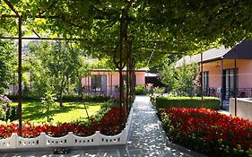 Guesthouse Tsiskari